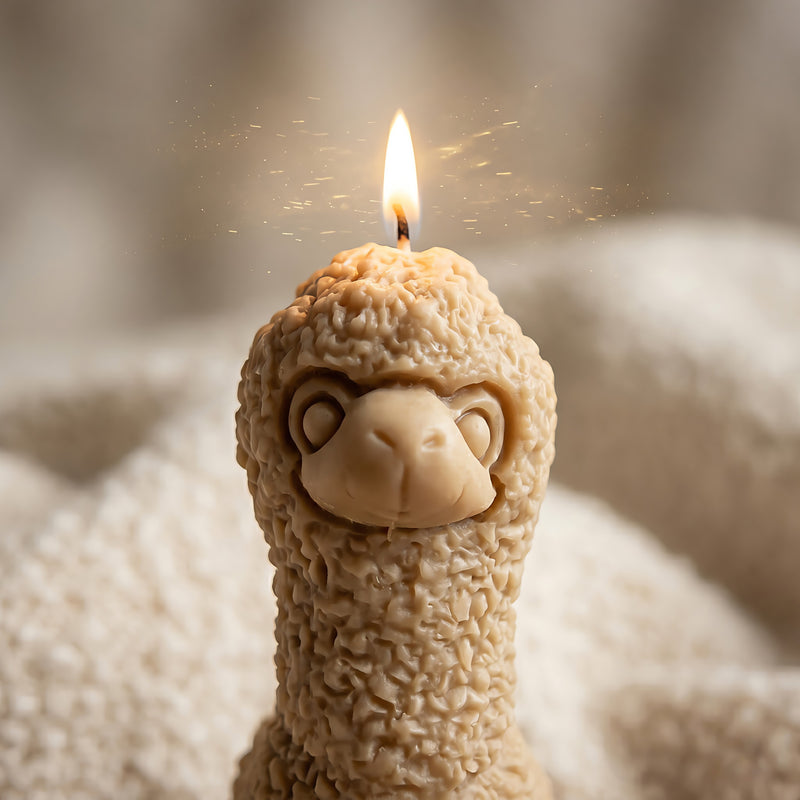 Alpaca | Scented Candle | Signature Coconut Blend (Soy-Free)