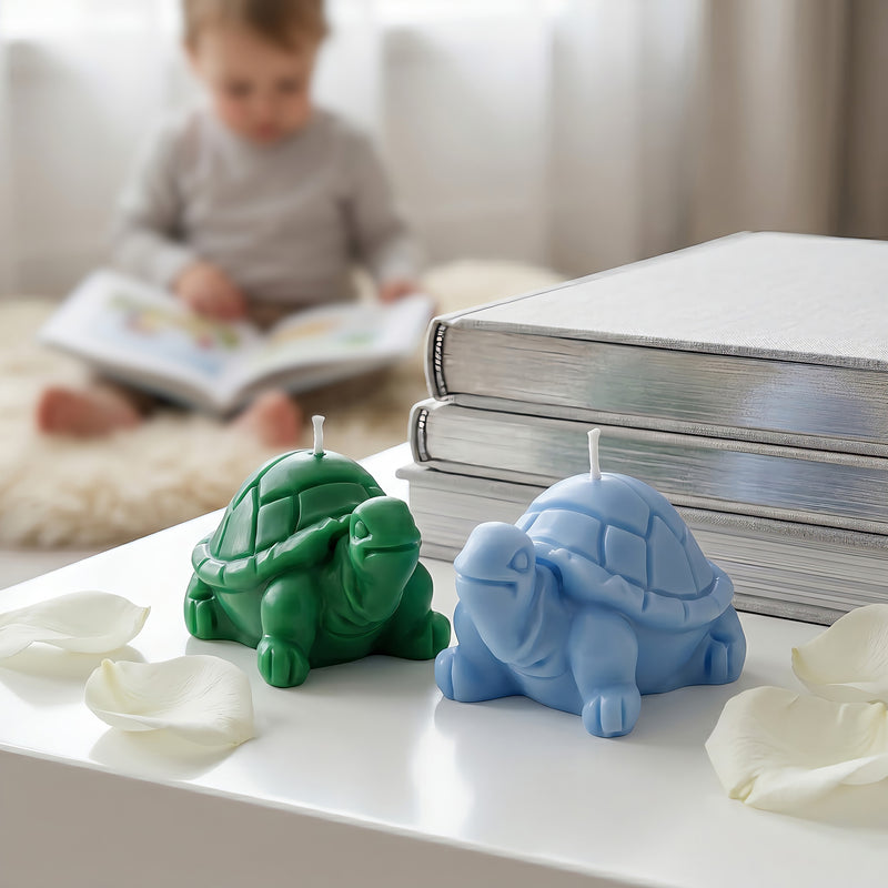 Little Turtle | Scented Candle | Signature Coconut Blend (Soy-Free)