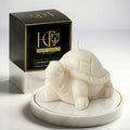 Little Turtle | Scented Candle | Signature Coconut Blend (Soy-Free)